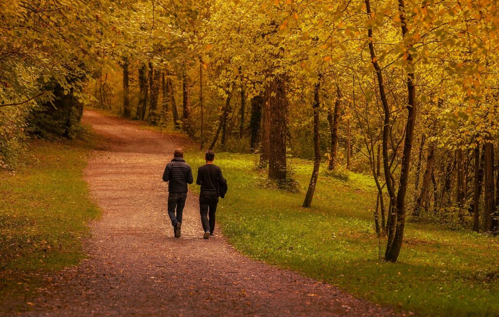 human, friends, men, portrait, forest, together, active, sports, to stroll, talk, fall, orange, nature, autumn colors, trail, walk, conversation, leisure time, tourism, hike, conversation, conversation, conversation, conversation, conversation